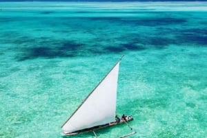 Zanzibar: estrelas-do-mar, Lagoa Azul, Borboletas e Floresta de Jozani