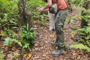 Zanzibar: estrelas-do-mar, Lagoa Azul, Borboletas e Floresta de Jozani