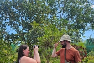 Zanzibar: estrelas-do-mar, Lagoa Azul, Borboletas e Floresta de Jozani