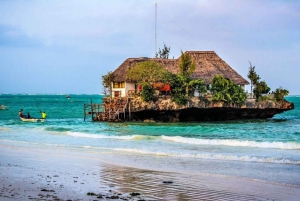 Zanzibar: Starfish Beach and Swimming with Dolphins Tour