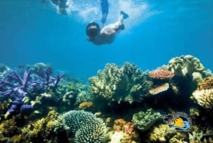 Zanzibar : Starfish Beach, Blue Lagoon et The Rock Tour