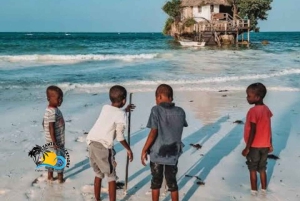 Zanzibar : Starfish Beach, Blue Lagoon et The Rock Tour