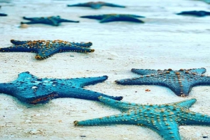 Sansibarilta: Meritähti, Sininen laguuni ja The Rock -ravintola