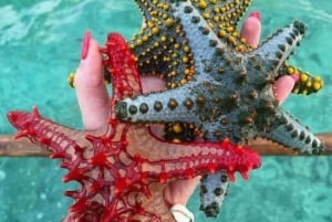 Zanzibar: stelle marine, snorkeling e avventura nella Laguna Blu