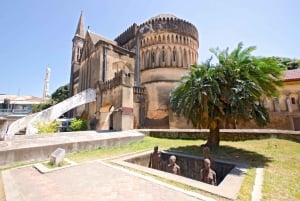 Zanzibar: Stone Town en Jozani Woud Tour