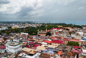 Sansibar: Kivikaupunki, historia ja Jozanin metsä Opastettu kierros