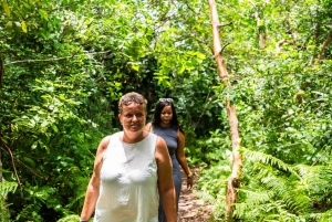 Sansibar: Kivikaupunki, historia ja Jozanin metsä Opastettu kierros