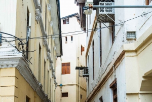 Sansibar: Kivikaupunki, historia ja Jozanin metsä Opastettu kierros