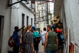 Sansibar: Kivikaupunki, historia ja Jozanin metsä Opastettu kierros