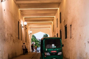 Sansibar: Kivikaupunki, historia ja Jozanin metsä Opastettu kierros