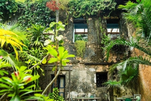 Sansibar: Kivikaupunki, historia ja Jozanin metsä Opastettu kierros