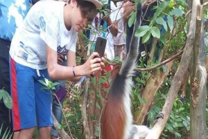 ZANZÍBAR: Stone Town y el bosque de Jozani Tour guiado