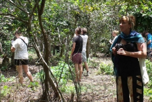 ZANZÍBAR: Stone Town y el bosque de Jozani Tour guiado