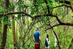 ZANZÍBAR: Stone Town y el bosque de Jozani Tour guiado