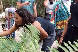 ZANZÍBAR: Stone Town y el bosque de Jozani Tour guiado