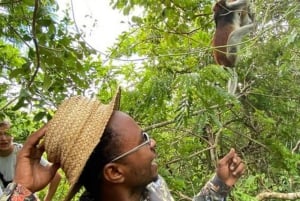 ZANZÍBAR: Stone Town y el bosque de Jozani Tour guiado