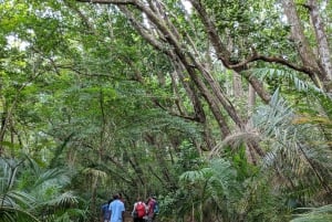 ZANZÍBAR: Stone Town y el bosque de Jozani Tour guiado