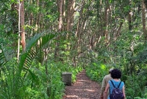 ZANZÍBAR: Stone Town y el bosque de Jozani Tour guiado