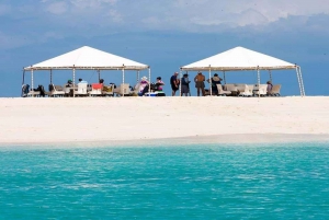 From Zanzibar: Stone town, Prison Island &Nakupenda Sandbank