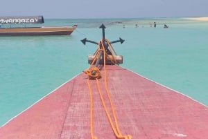 Zanzibar: Privat tur til Stone Town og Prison Island