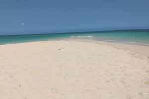 Zanzibar: Privat tur til Stone Town og Prison Island