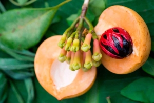 Zanzibar: Stone Town and Spice Plantation Walking Tour