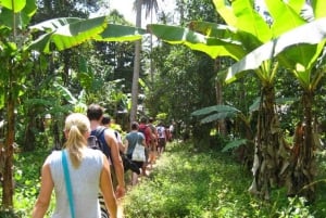 Zanzibar: Stone Town and Spice Tour from Stonetown hotels