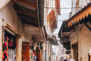 Sansibar: Stone Town, Schmetterlingszentrum und Tour zu den Meeresschildkröten