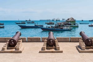 ザンジバル：ストーンタウン市内観光とスパイス農園（ランチ付き）