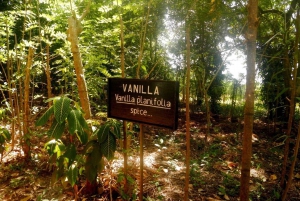 ザンジバル：ストーンタウン市内観光とスパイス農園（ランチ付き）