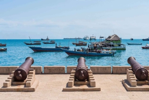 ザンジバル：ストーンタウン市内観光とスパイス農園（ランチ付き）