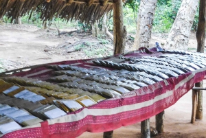 ザンジバル：ストーンタウン市内観光とスパイス農園（ランチ付き）