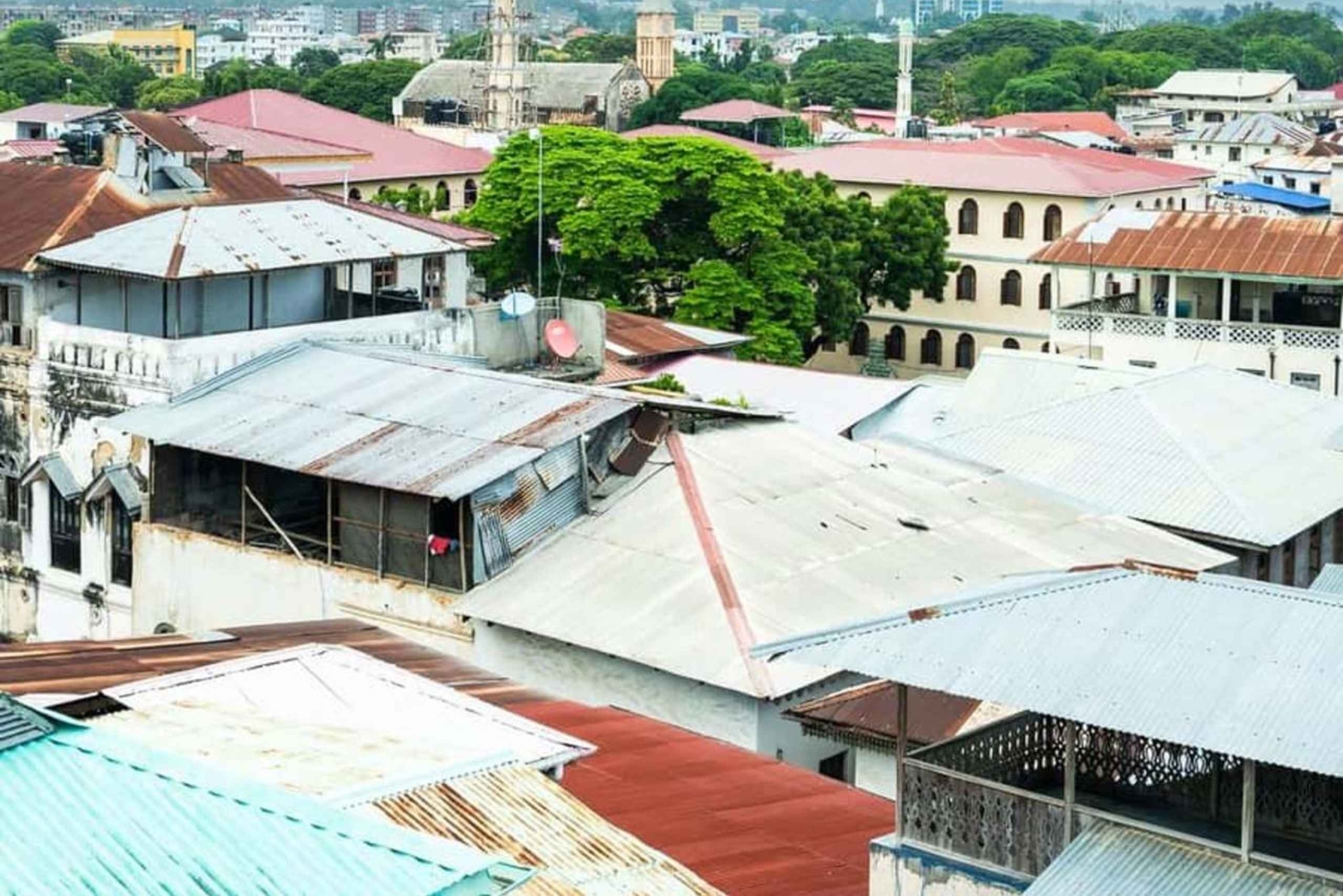 Zanzibar : visite citadine de la Ville de pierre et faune de la forêt de Jozani