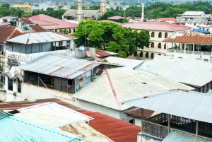 Zanzibar : visite citadine de la Ville de pierre et faune de la forêt de Jozani