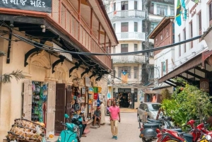 Zanzibar : visite citadine de la Ville de pierre et faune de la forêt de Jozani