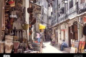 Zanzibar : visite citadine de la Ville de pierre et faune de la forêt de Jozani