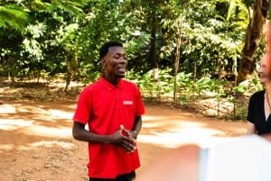 ザンジバル：ストーンタウン、料理教室、スパイス農場ツアー