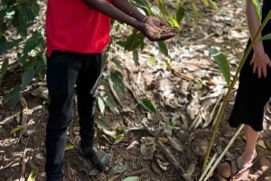 ザンジバル：ストーンタウン、料理教室、スパイス農場ツアー