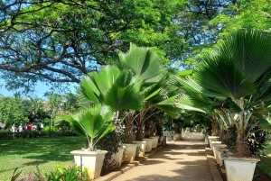 Zanzibar: Stone Town Guided Tour with Market Visit