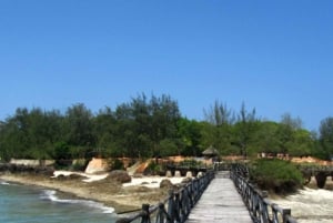 Zanzibar: Stone Town Guided Tour with Prison Island