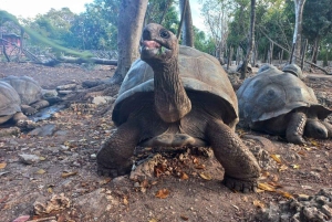 Zanzíbar: Tour guiado por Stone Town con la Isla de la Prisión