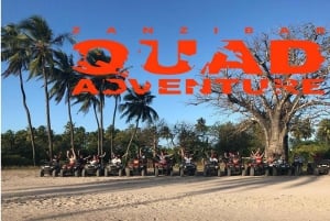 Zanzibar: Stone Town Guided Tour with Quad Bike Ride