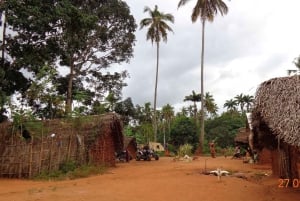 Zanzibar: Stone Town Guided Tour with Quad Bike Ride
