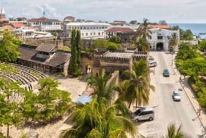 Zanzibar: Guidad tur i Stone Town med biljett till slavmarknaden
