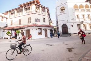 Zanzibar: Stone Town guidet tur