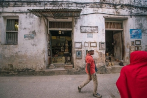 Zanzibar: Stone Town guidet tur