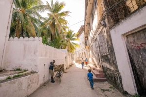 Zanzibar: Stone Town guidet tur