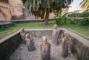 Zanzibar: Stone Town guidet tur