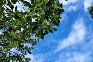 ザンジバル：ストーンタウン ガイド付きウォーキングツアー