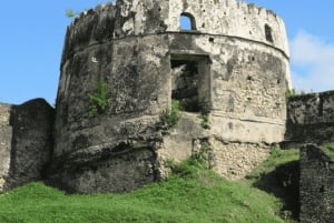 ザンジバル：ストーンタウン ガイド付きウォーキングツアー